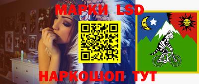 PSILOCYBIN Заволжье