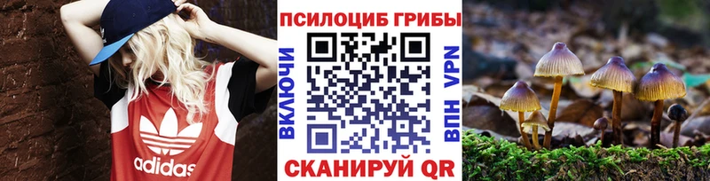 площадка как зайти  Качканар  Псилоцибиновые грибы Magic Shrooms  как найти наркотики 