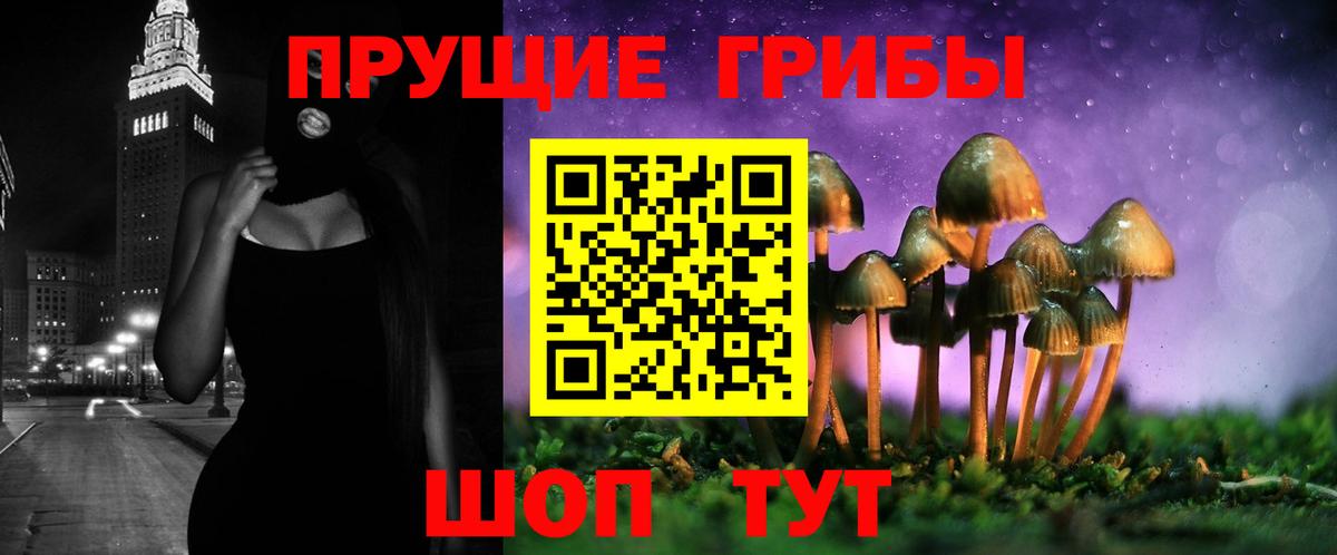 закладка  Качканар  Псилоцибиновые грибы мицелий 