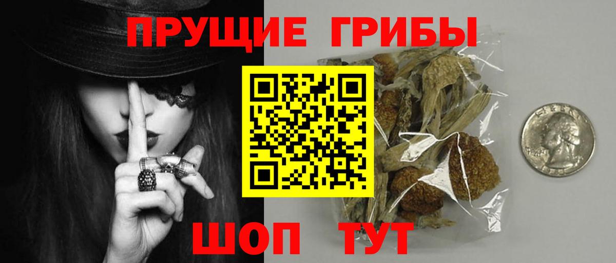 Галлюциногенные грибы Psilocybe  Галлюциногенные грибы Psilocybe  Качканар 